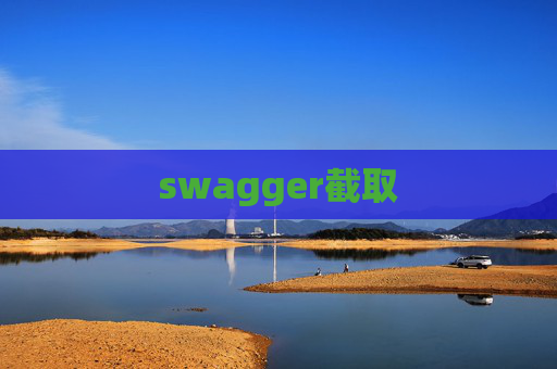 swagger截取